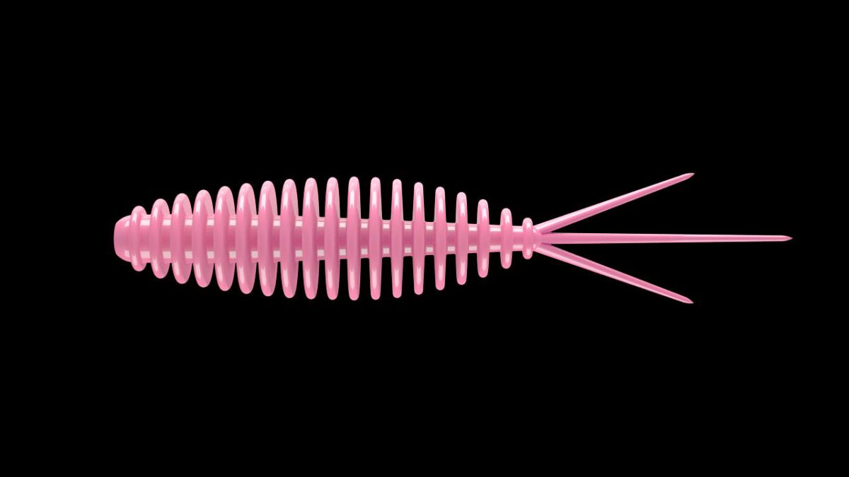 Turbo Worm 56 - 017 - BUBBLEGUM.jpg
