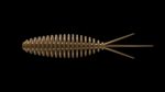 Turbo Worm 56 - 038 - BROWN.jpg