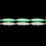 Larva Multi #000.jpg
