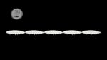 Larva Multi #004.jpg