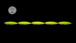 Larva Multi #006.jpg