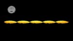 Larva Multi #007.jpg