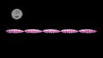 Larva Multi #018.jpg