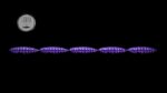Larva Multi #020.jpg