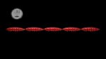 Larva Multi #021.jpg
