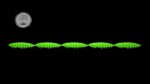 Larva Multi #026.jpg