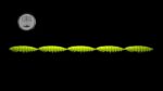Larva Multi #027.jpg