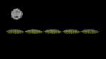 Larva Multi #031.jpg