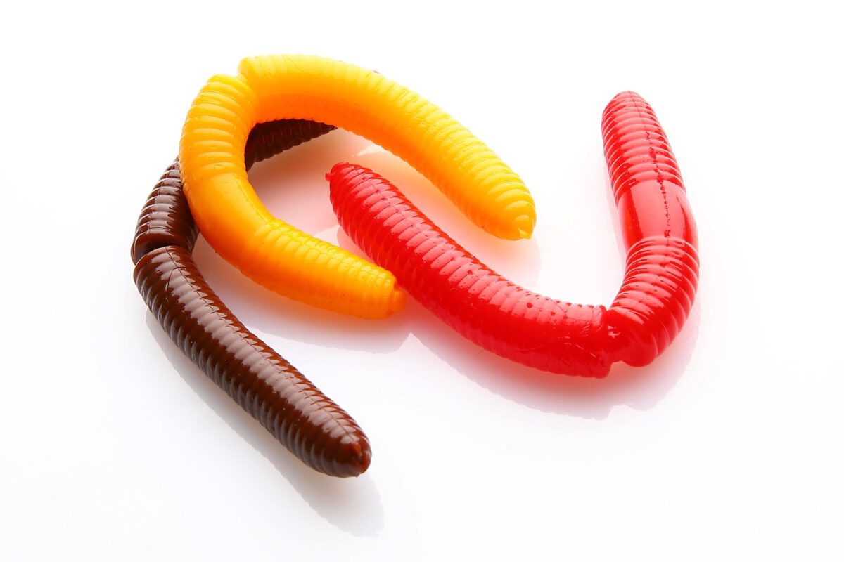 FATTY D'WORM.jpg