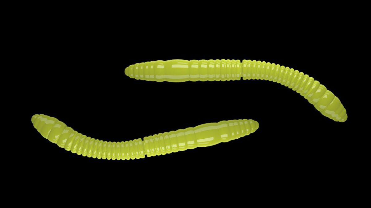Fatty D'Worm Tournament 55  006 HOT YELLOW.jpg