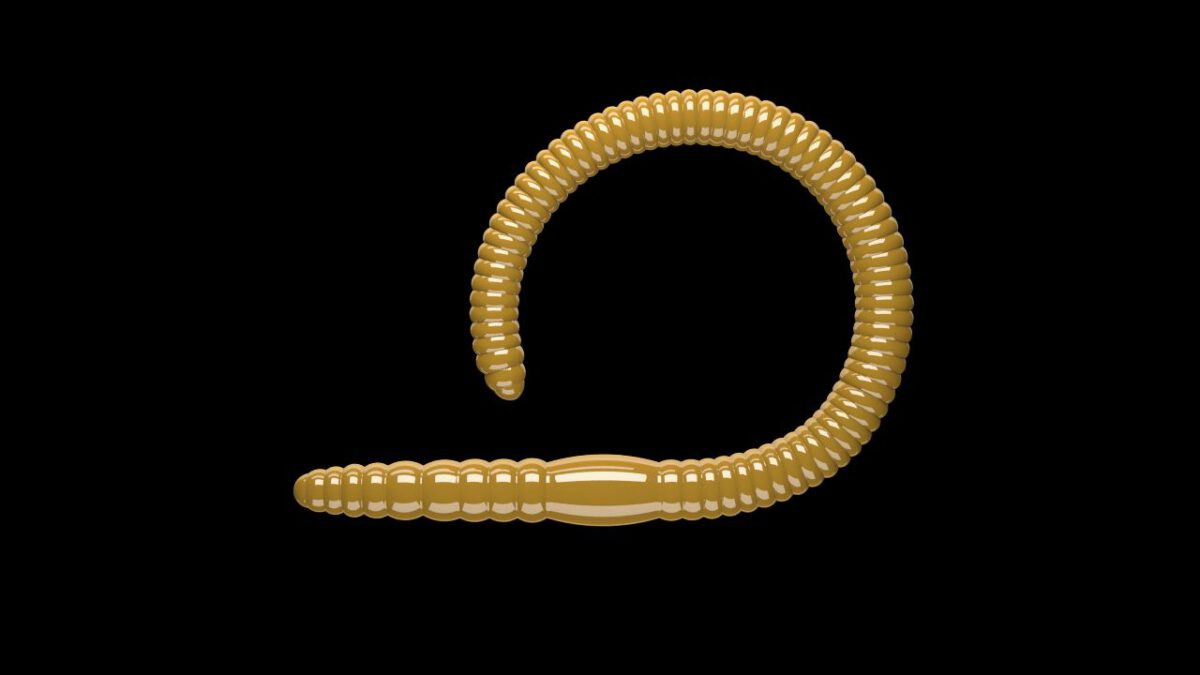 Flex Worm 85 -  036 - Coffee Milk.jpg