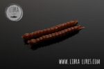 SLIGHT WORM - 038 BROWN.jpg