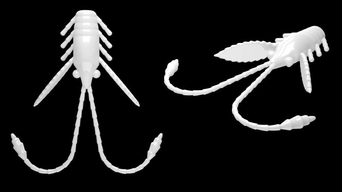 Pro Nymph 001 WHITE.jpg