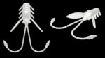 Pro Nymph 004 SILVER PEARL.jpg
