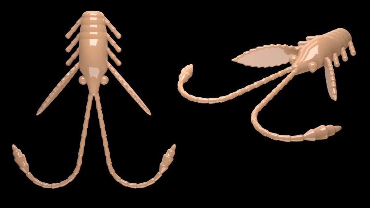 Pro Nymph 035 PELLETS.jpg