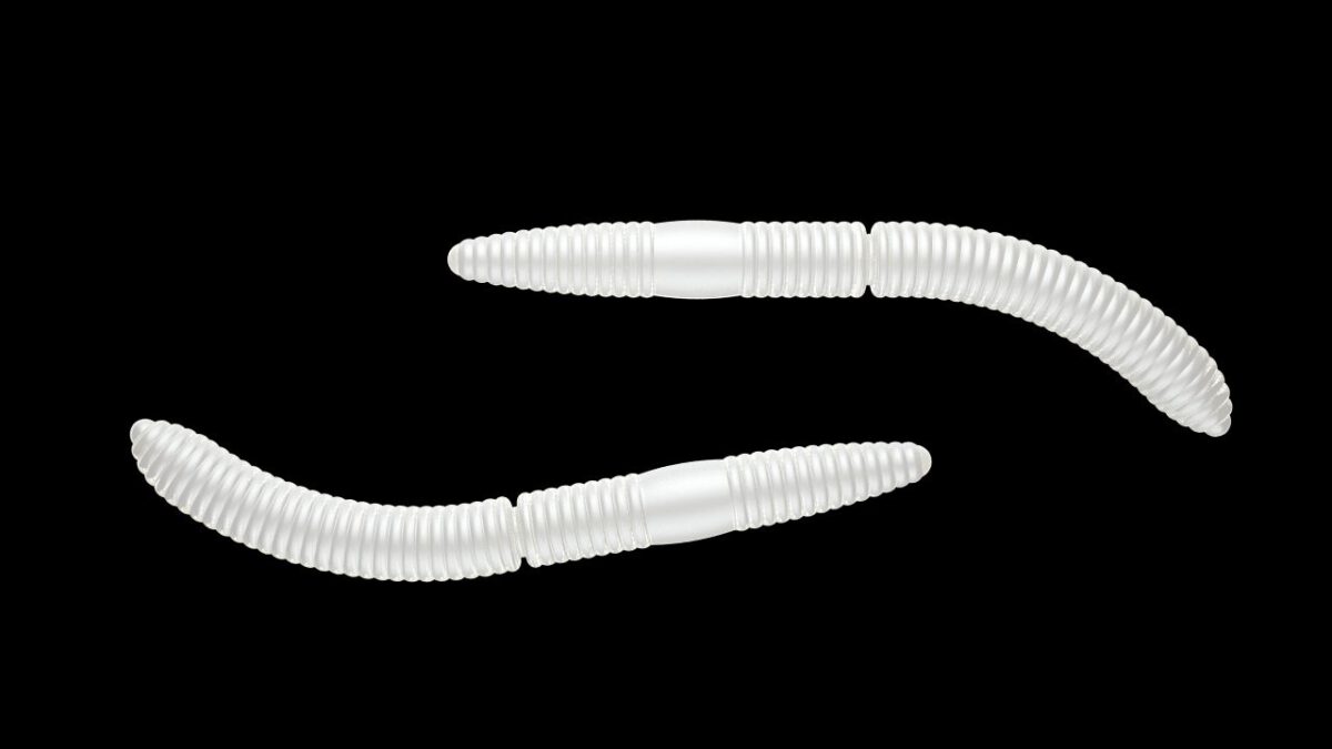 Fatty D'Worm 004 SILVER PEARL.jpg