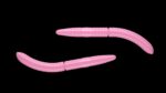 Fatty D'Worm 017 BUBBLEGUM.jpg
