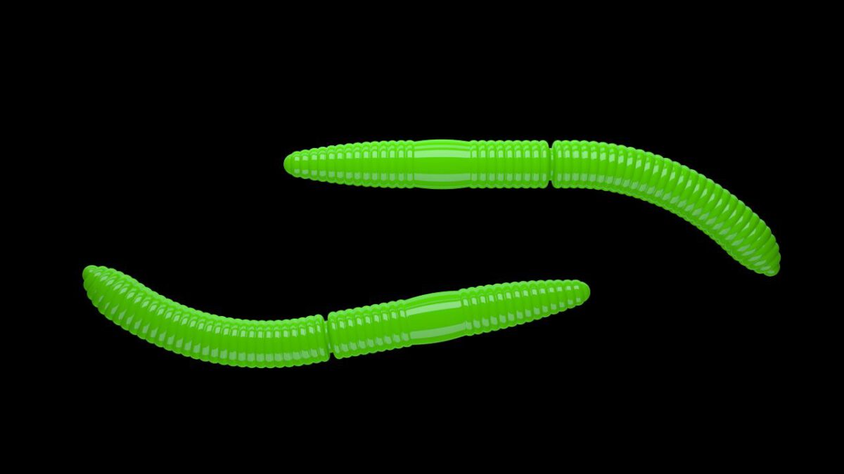 Fatty D'Worm 026 HOT GREEN.jpg