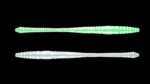 Dying Worm 000 GLOV UV GREEN.jpg
