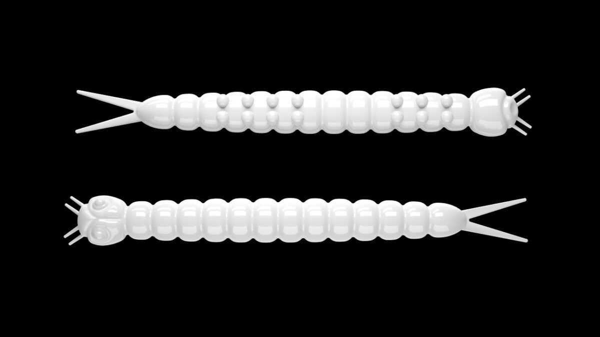 Slight Worm 001 WHITE.jpg