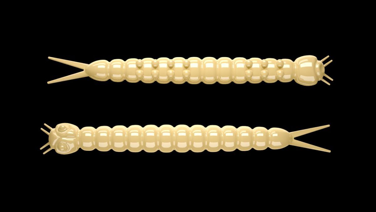 Slight Worm 005 CHEESE.jpg