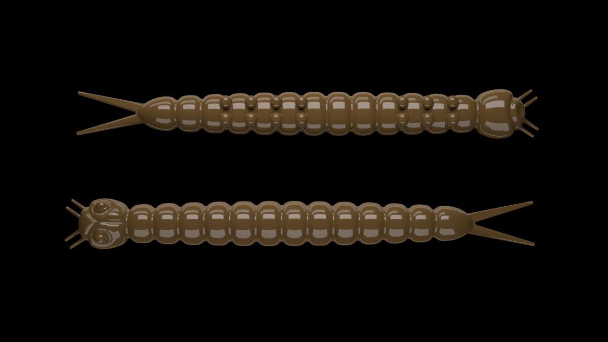 Slight Worm 038 BROWN.jpg