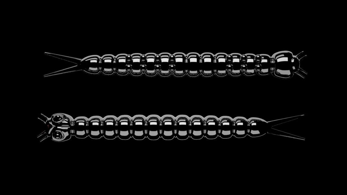 Slight Worm 040.jpg