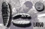 LARGO.jpg