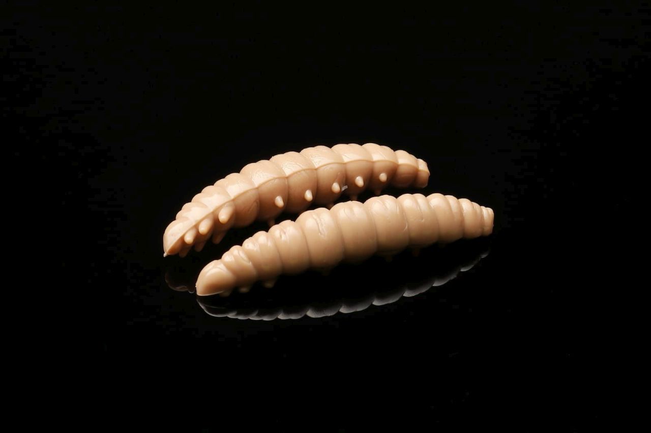 035larva-jpg-6 035Larva.jpg
