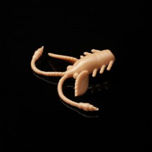 035PelettNymph.jpg
