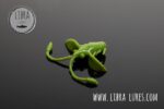 PRO NYMPH - 031 OLIVE - Kopie.jpg