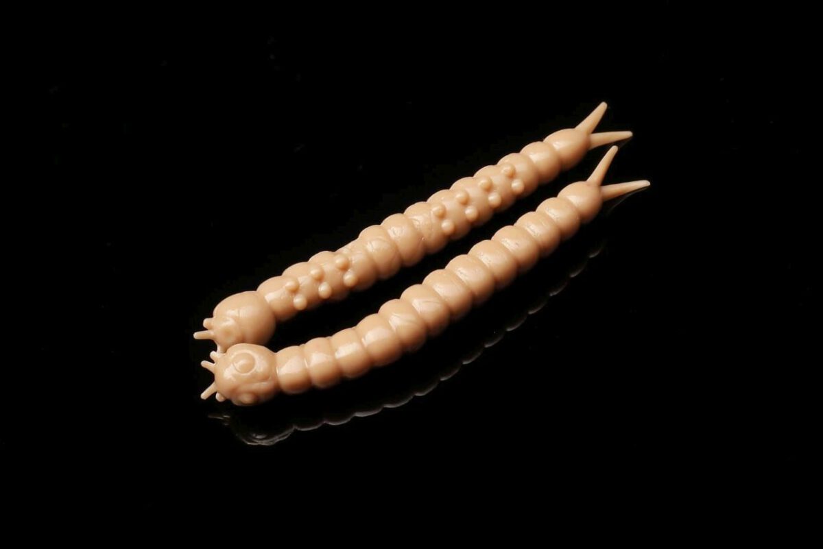 035SlightWorm.jpg