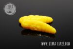 LARGO - 007 YELLOW.jpg