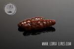 LARGO - 038 BROWN.jpg