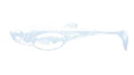 EMBRION SHAD -003-BLUE PEARL.png