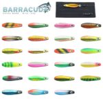 BarracudaIMG-20260212-WA0000.jpg