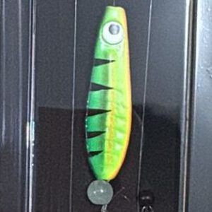 BARRACUDAIMG-20260127-WA0000.jpg